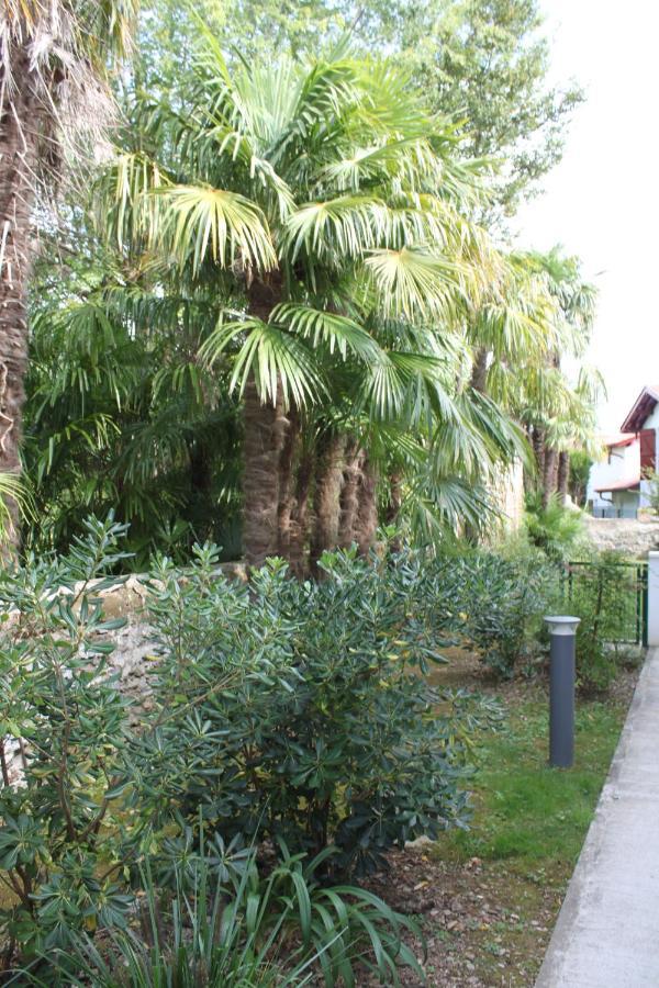 Chalet Ilona كامبو-لي-بان المظهر الخارجي الصورة